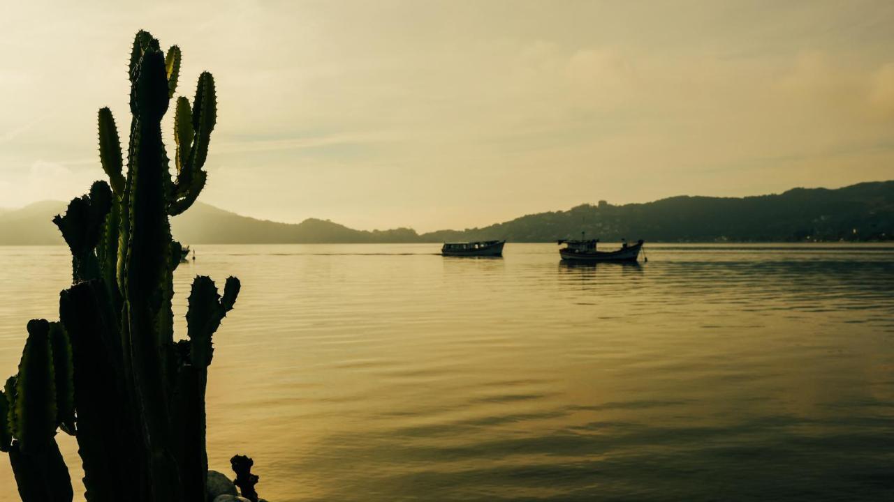Lagoa Nômade Hostel Florianopolis Ngoại thất bức ảnh